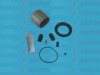 AUTOFREN SEINSA D41112C Repair Kit, brake caliper